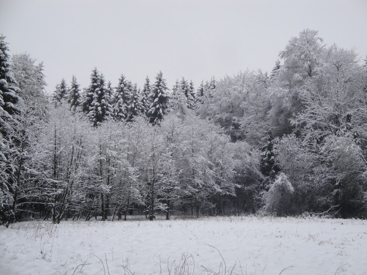 Winterwald Bio Heuregion