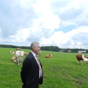 Die Kühe auf der Weide, das gefällt ihm offensichtlich "foto: peter lechner/hbf"