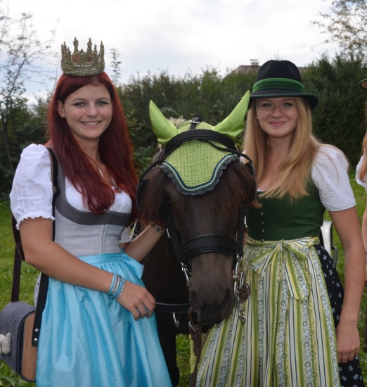 Pferdekutschengala Berndorf 2015 14