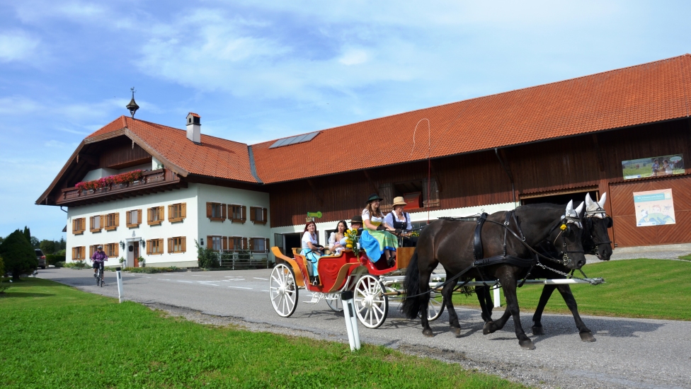 Pferdekutschengala Berndorf 2015 27