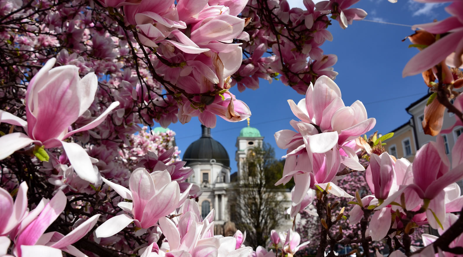 Salzburg im Frühling 18