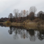 Spiegelung im See