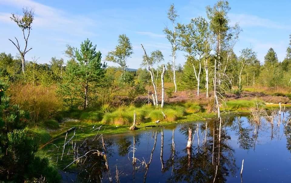 Wenger Moor Gedicht vom 31.08.2020 Herz und Liebe